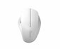 QWARE Wireless Mouse Luton Wit_